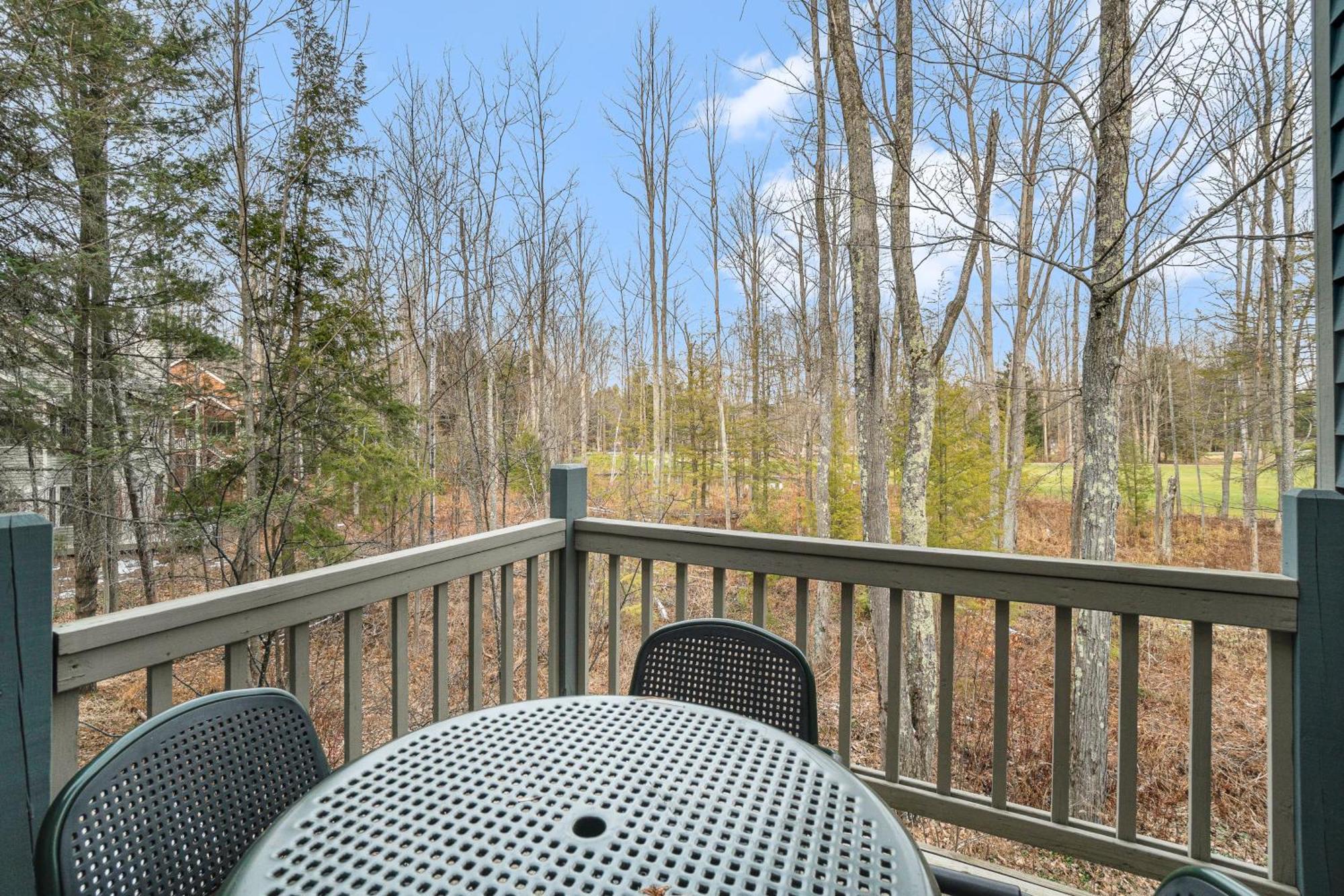 Wintergreen Condos Thompsonville Стая снимка