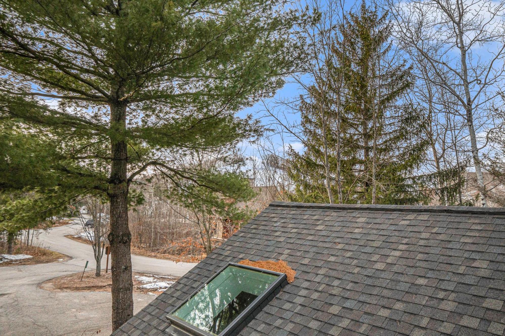 Wintergreen Condos Thompsonville Стая снимка