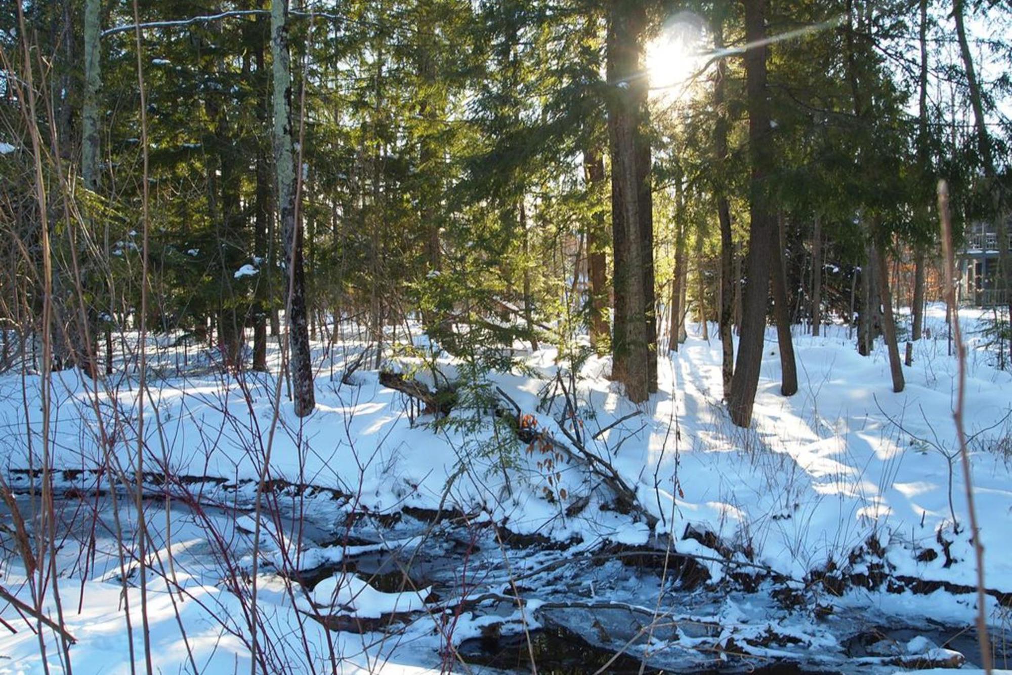 Wintergreen Condos Thompsonville Стая снимка