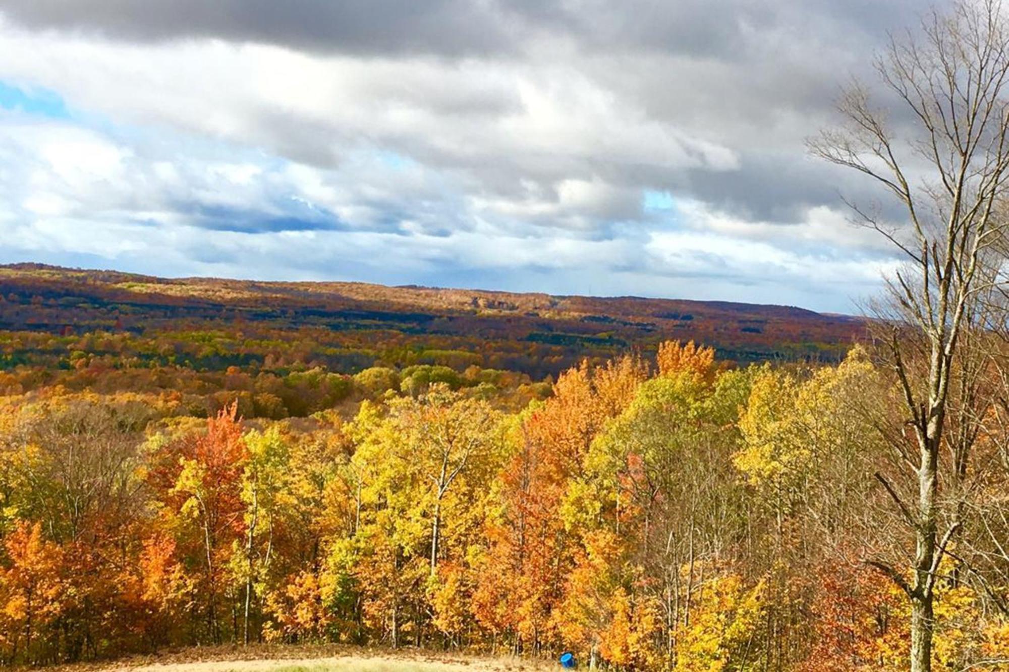 Wintergreen Condos Thompsonville Стая снимка